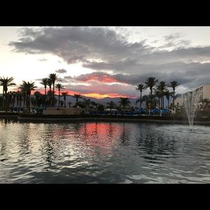 Meet your Posher, Timothy